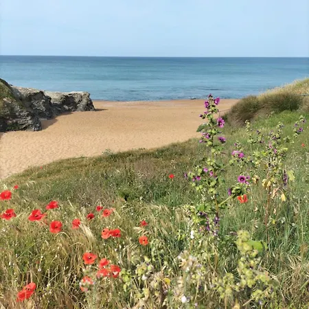 Apartment Studio Bord De Mer Pres St Gilles